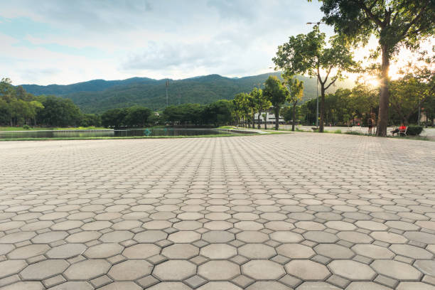 Best Commercial Driveway Pavers  in Saxapahaw, NC